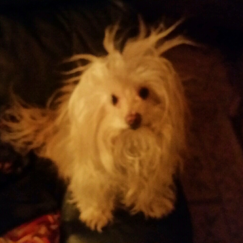 Meet your Posher, Kimberly